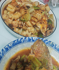 ����պ��ʺܲ���