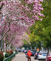 ̨�ݸ��Ǵ�ɫ