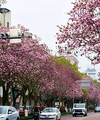 ̨�ݸ��Ǵ�ɫ