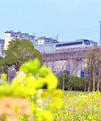 ������Ƭ��ɫ�Ͳ˻�����ʢ����