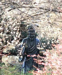 ��ѡ���ۣ���������ר����������