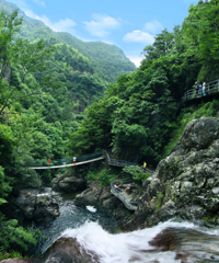 ��ѡ���ۣ���������ר����������