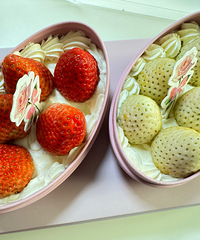 ���˵��� ����С��Ƭ