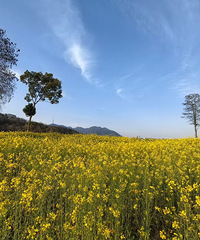 �ٺ������Ͳ˻�