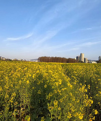 �ٺ������Ͳ˻�