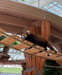 ��2026�μǡ�̨���ܱ�С�������޺�ȥ��