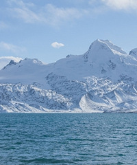 һ�۱�����ؼ���ɾ���׳��