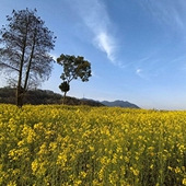 �ٺ������Ͳ˻�