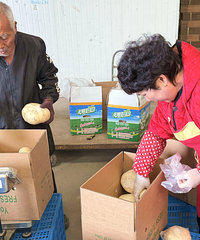 ̨�ݲ��߲˳���ŷ�ޣ��ӱ����г�������1.1Ԫ/����ߵ�20Ԫ