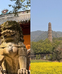 ���������ٵ�350��