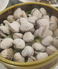 ̨���紺С���ʸ��������