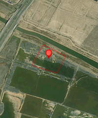 1.49��Ԫ����δ���³�(��������)��԰��������41Ķլ��