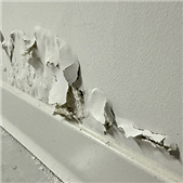 ���о���