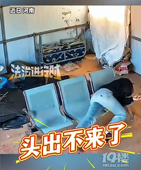 ���ӿ�סͷ�ְְ�ͷ�Ž�ȥҲ����