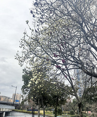 ���۷��۵�����Ͳ˻����������������Ļ���ӭ����������