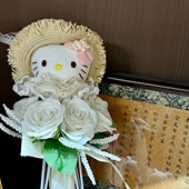 Kitty�ؿ�����