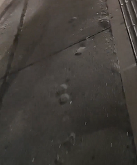 ����·ȫ�ǿ�