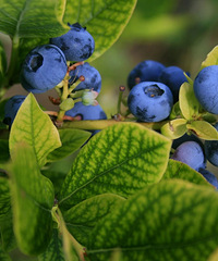 �۸����ˮ��������ն���㽭�˶����ԣ����������С�