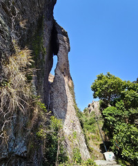 ����ҡ��ҽ�ʮ���ͽ���μ�