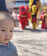 �����Ͻ�����ʨ����Ŷ