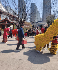 ��ʨ���ݣ���������ѵ�С����