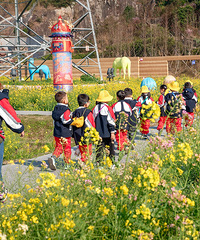 ���ҽ�Ұ��԰�Ͳ˻�������һȺС���ѣ���԰����˻��ֵ�����԰