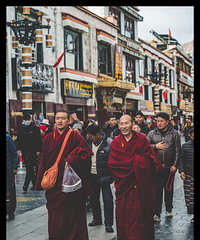 �������ϵ���ͽ