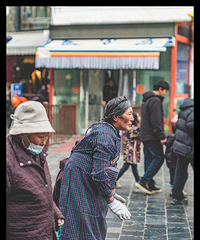 �������ϵ���ͽ