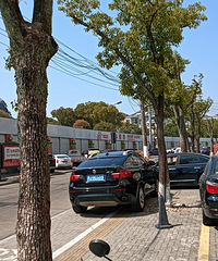 ռ���е��Ľ�ʬ��Խ��Խ��