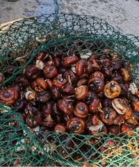 һ�챬��5000������ϰ�æ�裺��Ҫ�����ˣ���û��