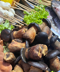 �����ڳ������ȥ�ģ���֪��������˰�����»���û����