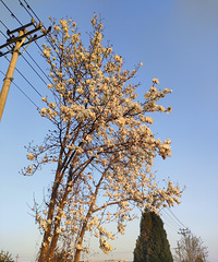 ����ʲô��