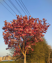 �����ʲô��