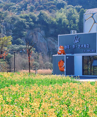 ���µ�̨�ݣ����ͻ���ͼ������