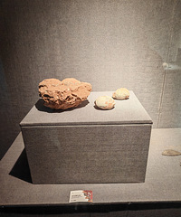 ʵ�����Ų���ݣ���ѿ��ţ�����������ʵ����