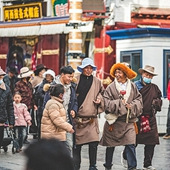 �������ϵ���ͽ