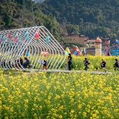 ��԰��ɻ��ֵ�����԰