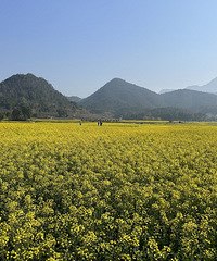 ˫��������ӣ��԰�����Ͳ˻����һ���ӣ����ӣ�������˼��