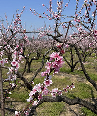 ˫��������ӣ��԰�����Ͳ˻����һ���ӣ����ӣ�������˼��