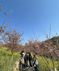 �ͻ� ӣ���������˼