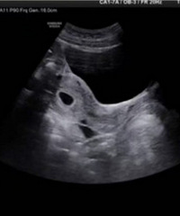 ������������ʱ�⡾2026�����ռǡ�