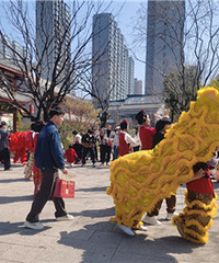 ����ʨ����