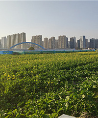 ץס�Ͳ˻���β��