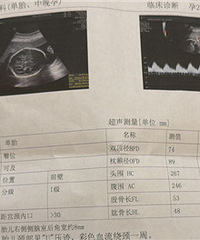 ⧲������Ķ�̥��2026�����ռǡ�