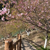 �ͻ� ӣ���������˼