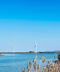 ���ź������������ľ��