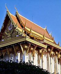 һ�������������۽Է��