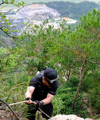 �Ҷ��󽷽���ɽ����Ҳ��