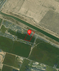 1970����������ժ��δ���³ǻ�԰�������鳬12Ķ�̷��ؿ�