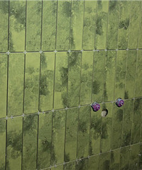 ���Ǳ�Ư��ש�𾪵�һ��